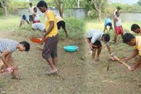 NSS download