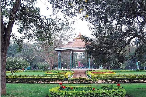 Park 7 jan 20