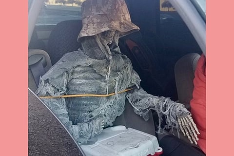 SKELTON