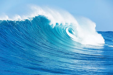 Sea 14 jan 20