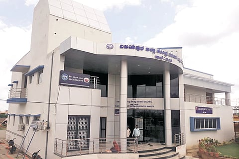 VJP DCC Bank