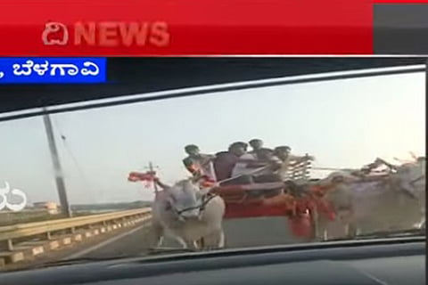 bailahonngala jan 16