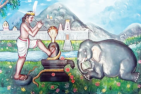 beda gampanna