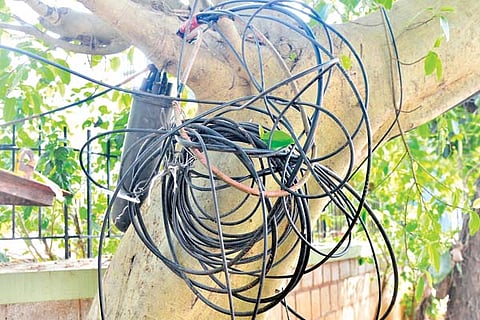 cable new
