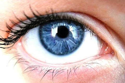 eyeball