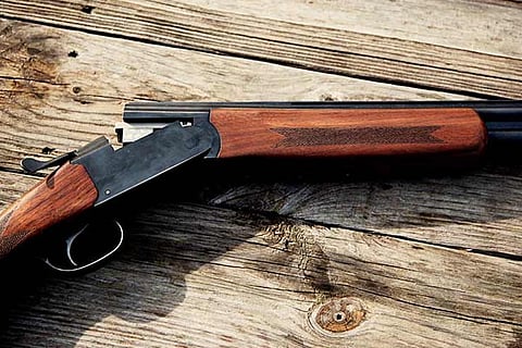 gun new