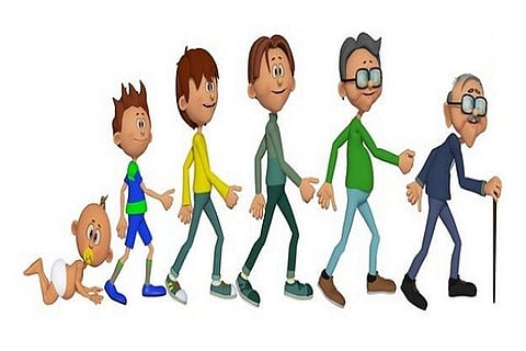 human life cycle 25 JAN 20