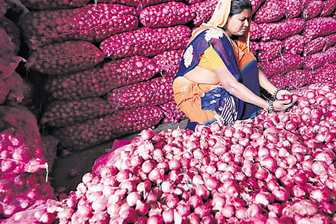 india-onion-crisis jan 18