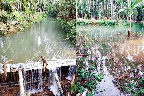 jalanidhi new