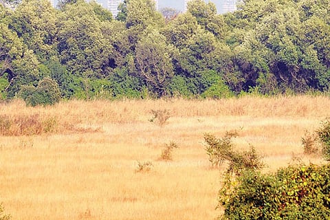 land 6