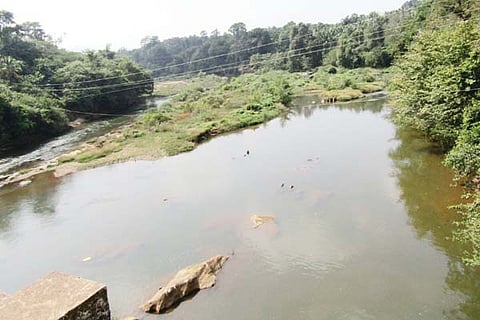 payaswini new