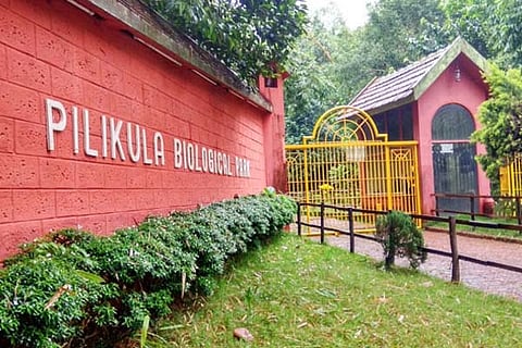 pilikula new