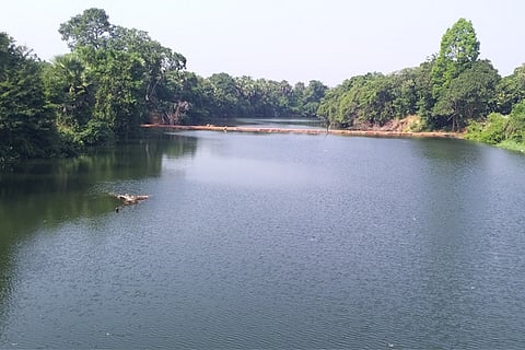 shambhavi