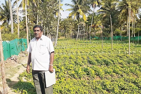 vitthavani jan12 2020