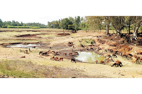 08_02_Mdy_Kere Pradikara Story 01