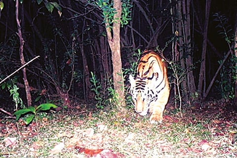28Khanapur3-Web