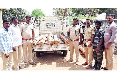 28RAJU 4 (1)