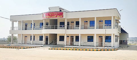 9 Kalaghatagi 6d