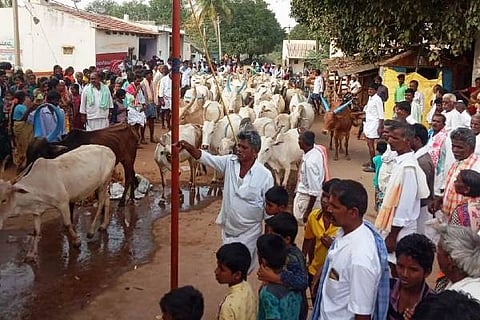 CLK HABBA 02