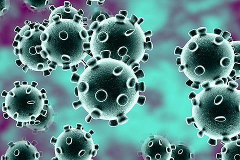 Corona Virus