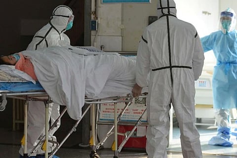 Corona Virus