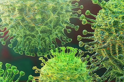 Coronavirus 16 Feb 20