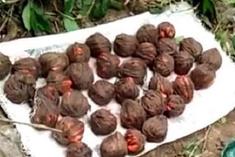 Crude Bomb 19 Feb 20