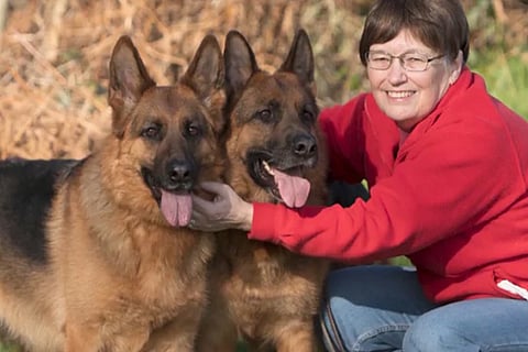 Dog Lover
