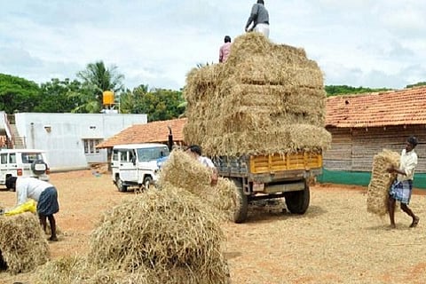 Fodder Bank Representative Image 20 FEB 20
