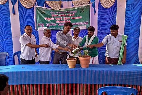 HLK Agriculture 12