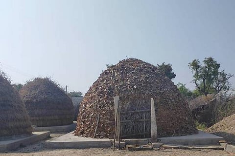 HYR Nataraj 03