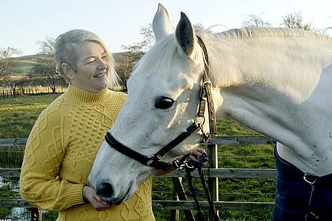 Horse