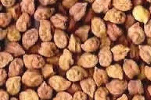 KADALE