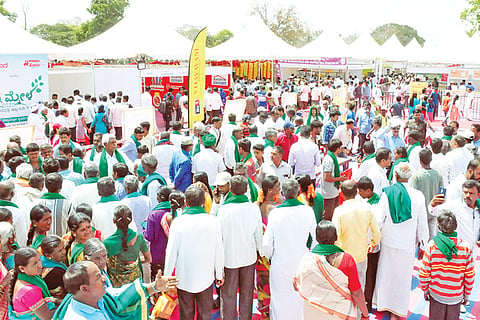 KRISHI MELA F