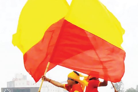 Kannada 12 Feb 20