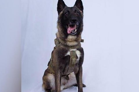 Kolkata Police