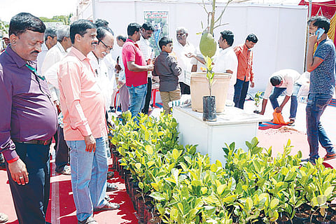 Krishi 22 Feb 20