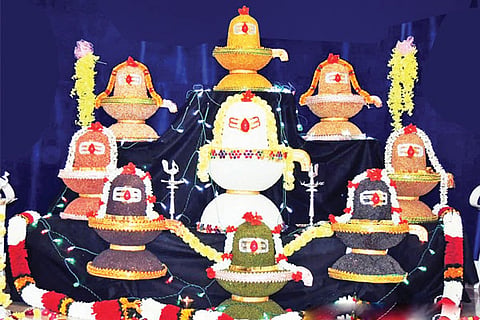 Krushi Mela