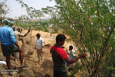 P PURA KARADII 29