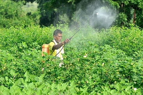 Pesticides Management 12 FEB 20
