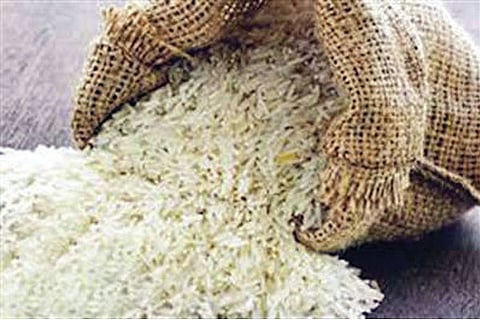 Rice