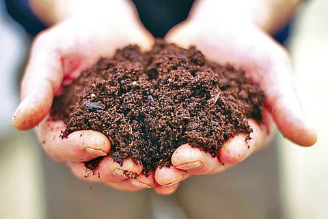 SOIL