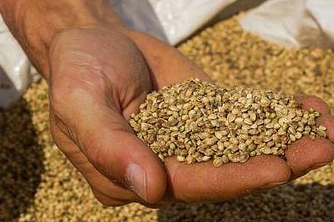 Seed bill