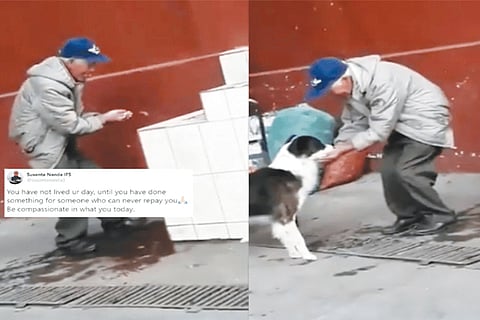 VIRAL