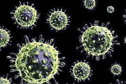 Virus