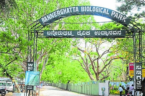 bannerghatta