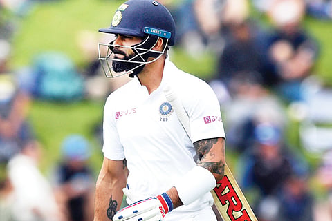 cricket feb 2020