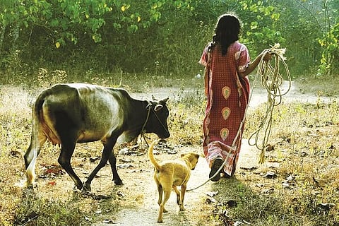 deshmuk 15