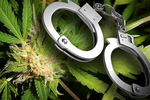 ganja new