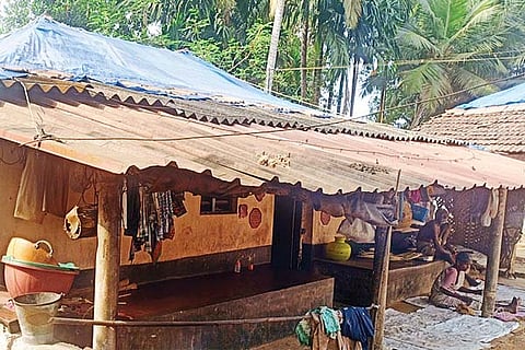 koraga colony